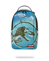 SPRAYGROUND BAGS